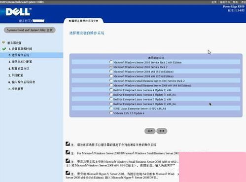 戴爾服務器安裝Windows Server 2003系統(tǒng)指南